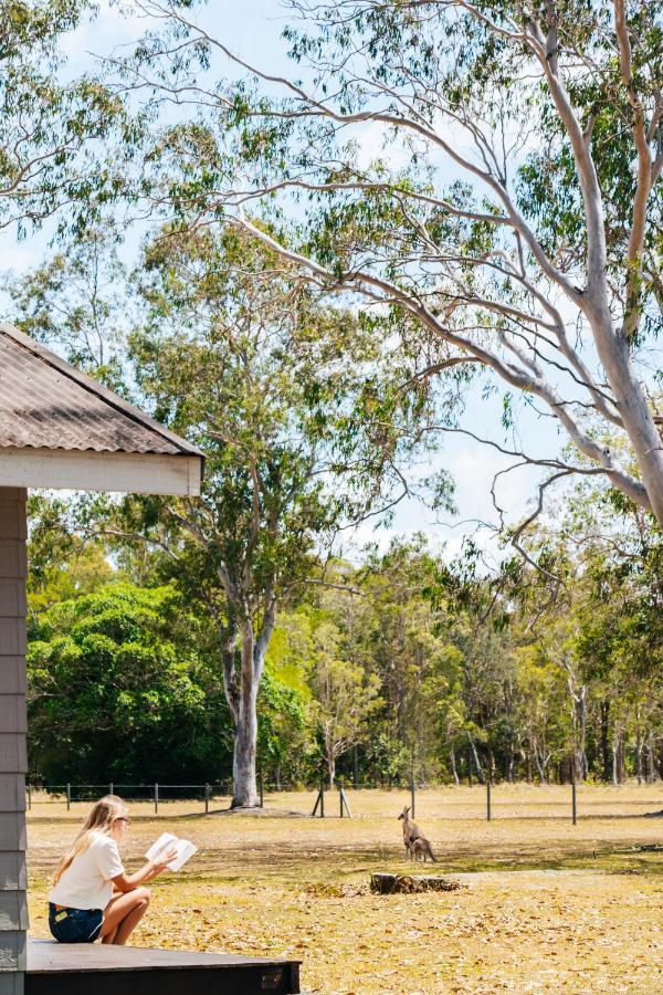 Kangarooms Noosa Everglades Cootharaba エクステリア 写真