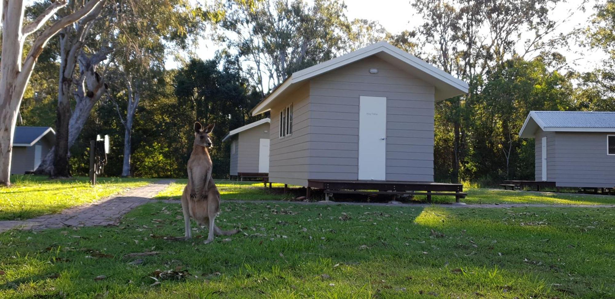 Kangarooms Noosa Everglades Cootharaba エクステリア 写真